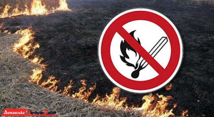 Спасатели предупреждают об ответственности за сжигание сухой травы