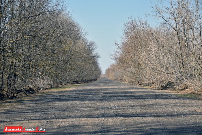 От Ставков до Ониськова обустроят дорогу (фото)