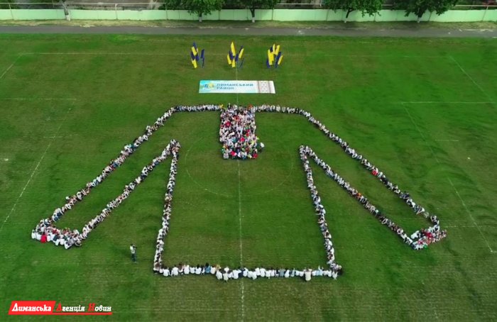 "Живая вышиванка". В Доброславе организовали патриотический флешмоб (фото)