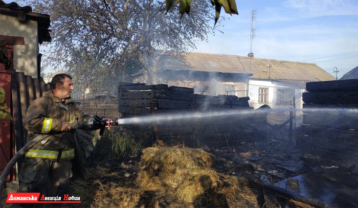 В Курисово всем селом тушили пожар (фото)