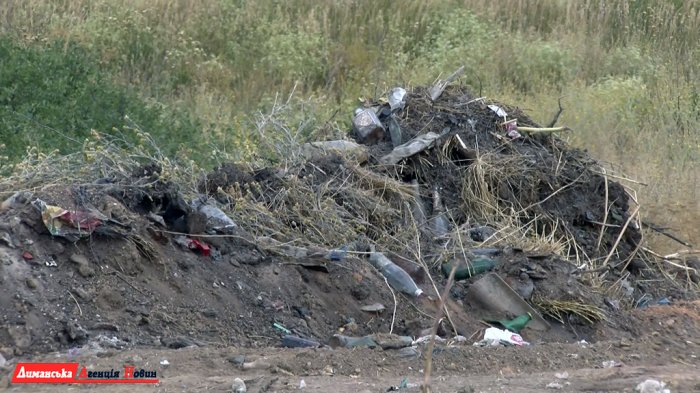 В Любополе решают вопрос скопившегося мусора