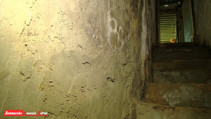 Від руйнування врятували гараж та підвал жительки села Кінне (фото)