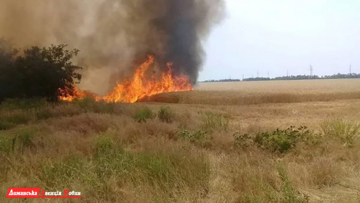 В селе Александровка Лиманского района вспыхнул пожар (фото)