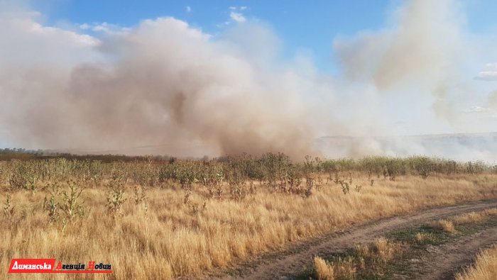 В Першотравневом едва не загорелось пшеничное поле (фото)