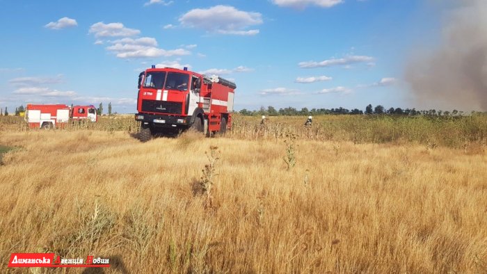 В Першотравневом едва не загорелось пшеничное поле.