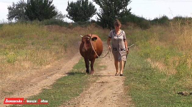 В Визирской громаде планируют воплощать программы по поддержке аграрного сектора (фото)