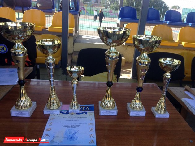 У Доброславі пройшли змагання з легкої атлетики серед школярів.