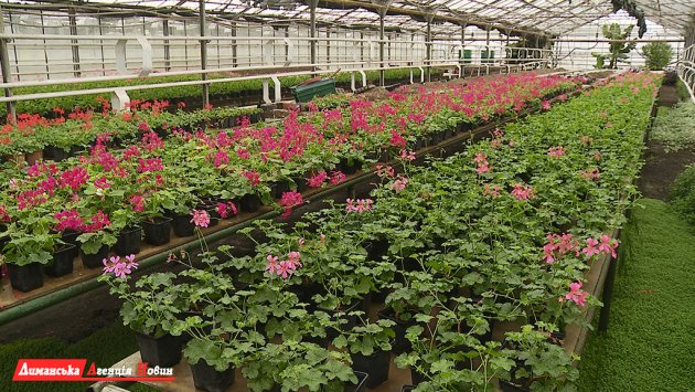Энергоэффективно и естественно: в теплицах Одесского припортового завода выращивают экзотические растения.