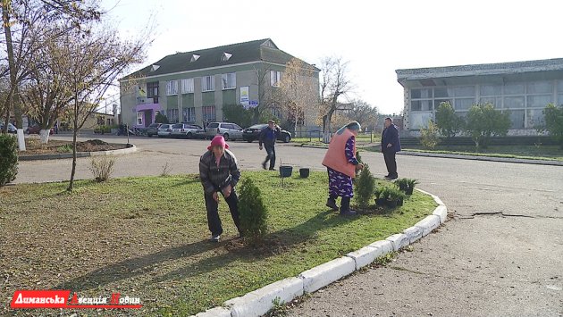В Визирке и Першотравневом высадили более 1000 кустов и хвойных деревьев.