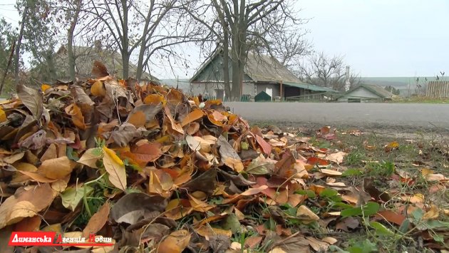В Першотравневом организовали вывоз опавших листьев (фото)