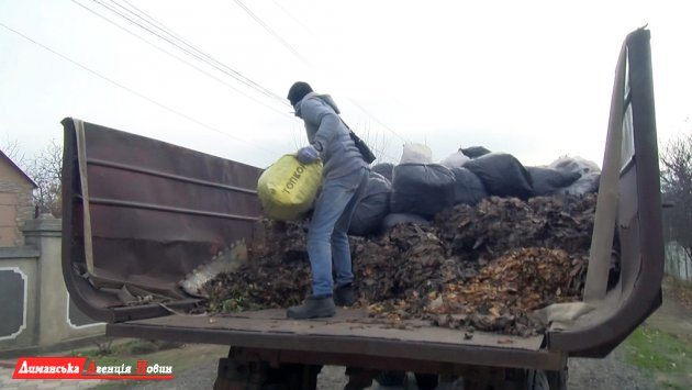 В Першотравневом организовали вывоз опавших листьев.