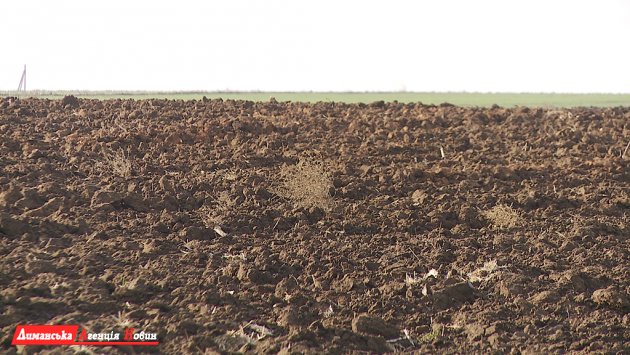 В селе Любополь выделили земельные участки участникам АТО (фото)