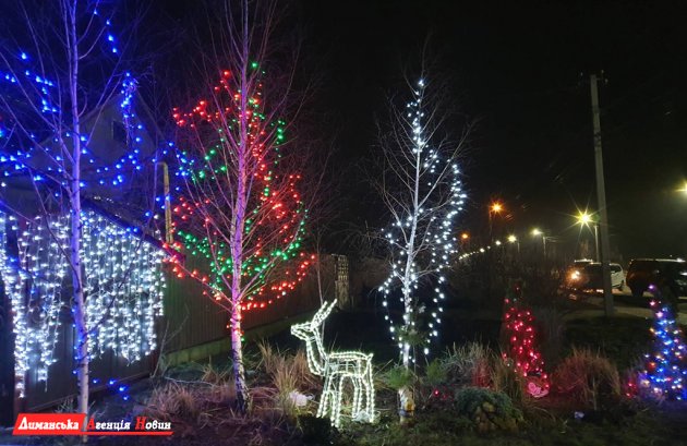 У селі Визирка триває конкурс новорічних прикрас.