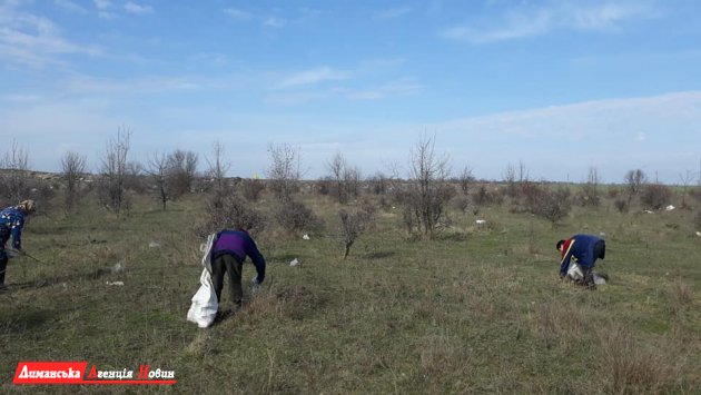 Жители Курисового вышли на уборку прилегающей территории (фото)
