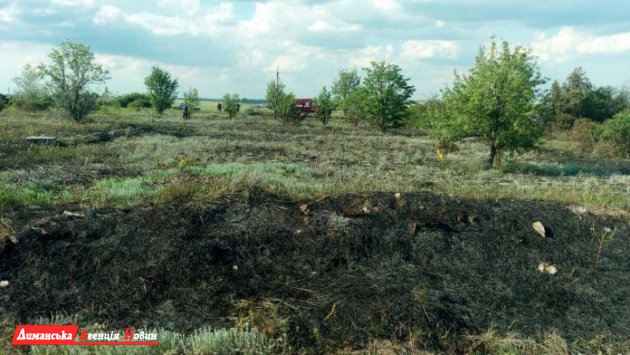 Пожежа біля Коблевого: палала суха трава в екосистемі