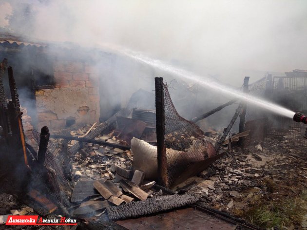 В селе Трояндовое спасатели ликвидировали пожар (фото)
