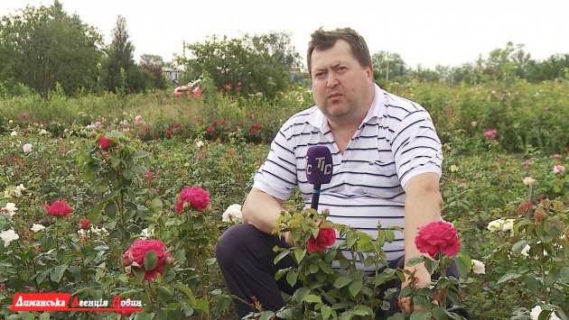 Владимир Громлюк, агроном, коллекционер роз во втором поколении.