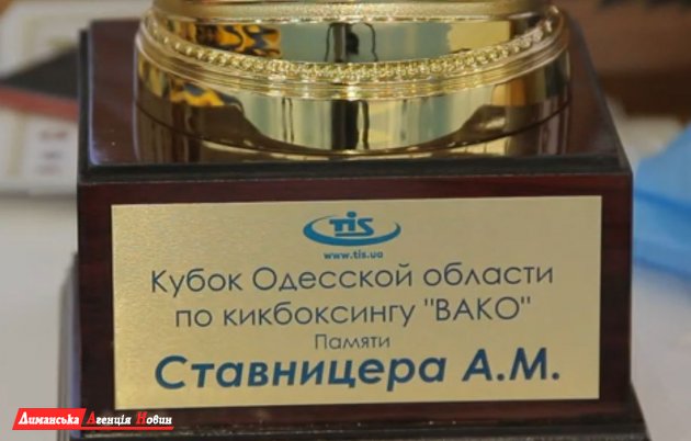 При поддержке компании ТИС состоялся Кубок памяти Алексея Ставницера среди кикбоксеров (видео)