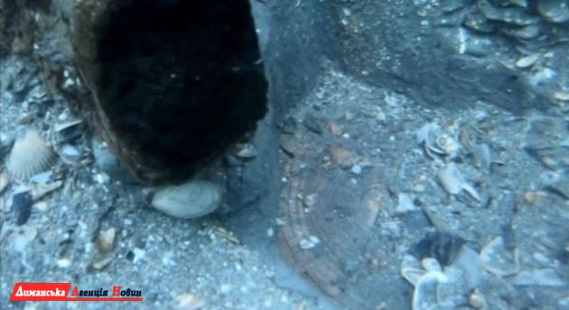 Археологи виявили на дні Чорного моря затоплене місто