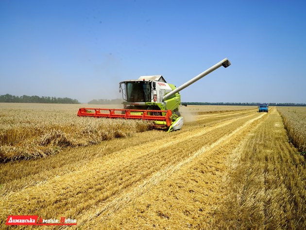 В Одеській області обсяг виробництва сільгоспродукції склав понад 20 млн ц
