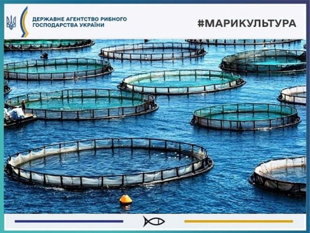 В Украине смогут предоставлять в аренду акватории моря для целей марикультуры