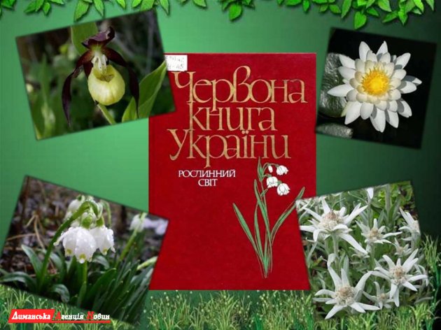 В Красную книгу Украины занесут новый перечень растений (фото)
