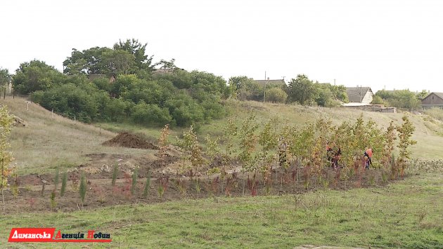 У Визирській ОТГ озеленюють береги в балці Лопухова (фото)