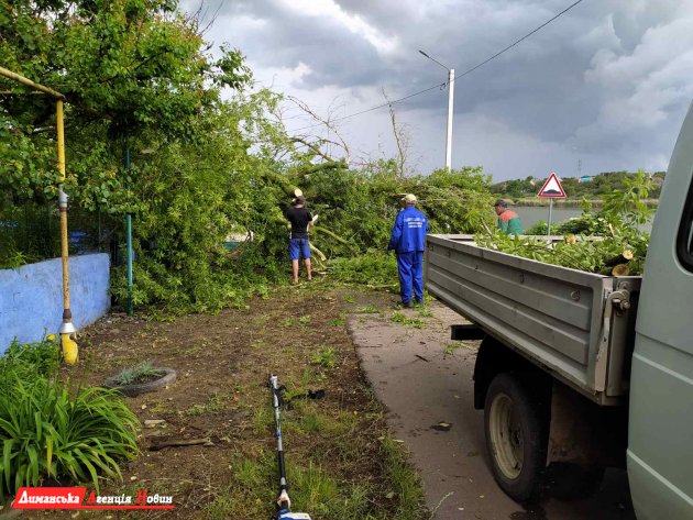 В Визирке Одесского района работники КП «Визирське джерело» ликвидировали упавшее дерево