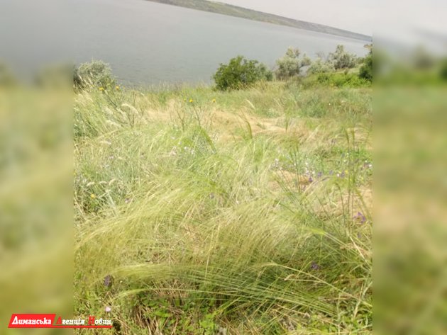 В социальной сети поделились фото живописных пейзажей Тилигульского лимана (фотофакт)