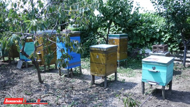 Пчеловоды из Любополя Визирской ОТГ рассказывают о своем ремесле 