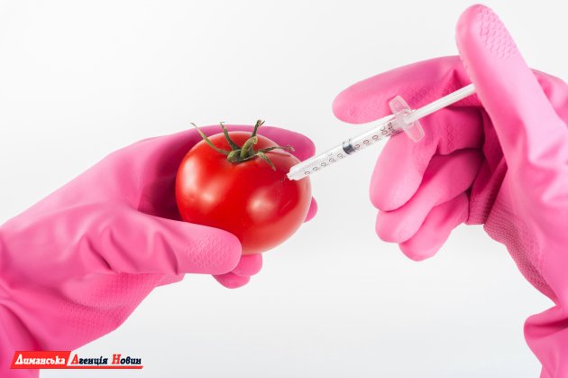 Георгий Берило: о ГМО — за или против? 