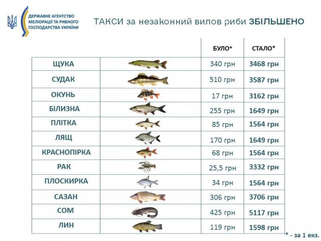 В Украине штрафы за незаконный вылов рыбы увеличились в десятки раз