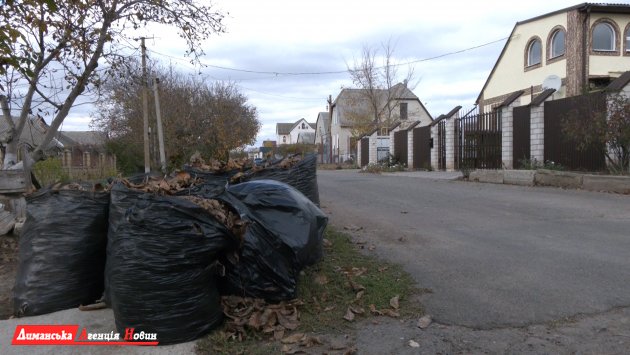 У селах Першотравневого старостинського округу Визирської ОТГ проводиться акція «Опале листя» (фото)