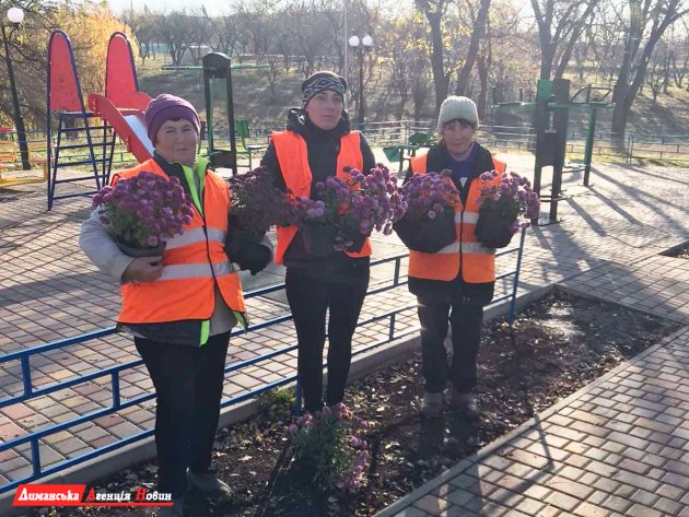 В селе Першотравневое Визирской ОТГ высадили почти 100 кустов хризантем (фотофакт)