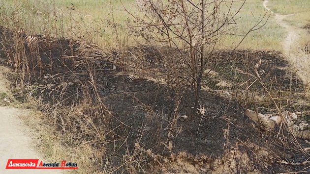 В Визирской ОТГ борются с поджогами полей (фото)