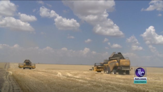 У Визирській громаді вже зібрали понад 270 тонн зерна (фото)
