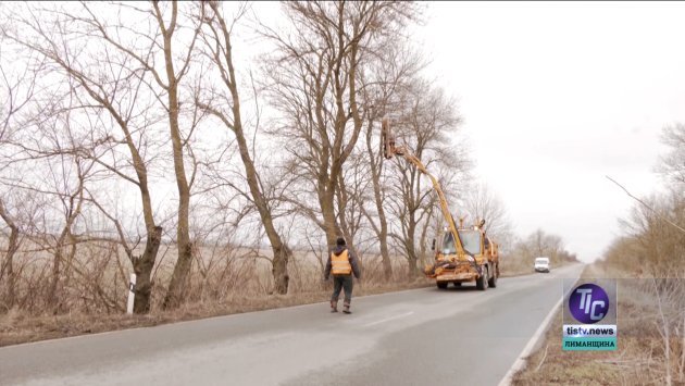 На дороге от Визирки до Любополя провели обрезку деревьев (фото)