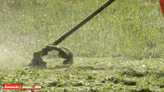 В Визирской громаде борются с сорняками: коммунальщики активно косят траву новой техникой (фото)