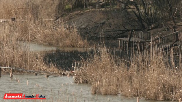Від гасіння до розслідування: як у Визирській громаді борються з пожежами в екосистемах (фото)