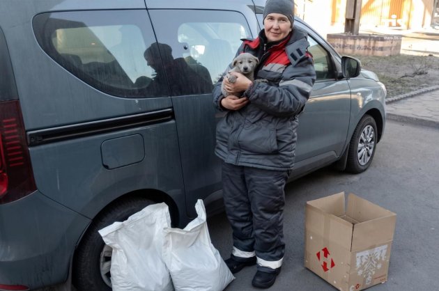 ТІС запустив програму «Знайди свого друга» для безпритульних тварин (фото)