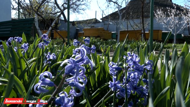 Лад надворі — лад у душі: секрети родини Яждин із Визирки (фото)